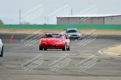 media/May-04-2025-Lucky Dog Racing (Sun) [[21629467aa]]/Turn 9 (115-130pm)/